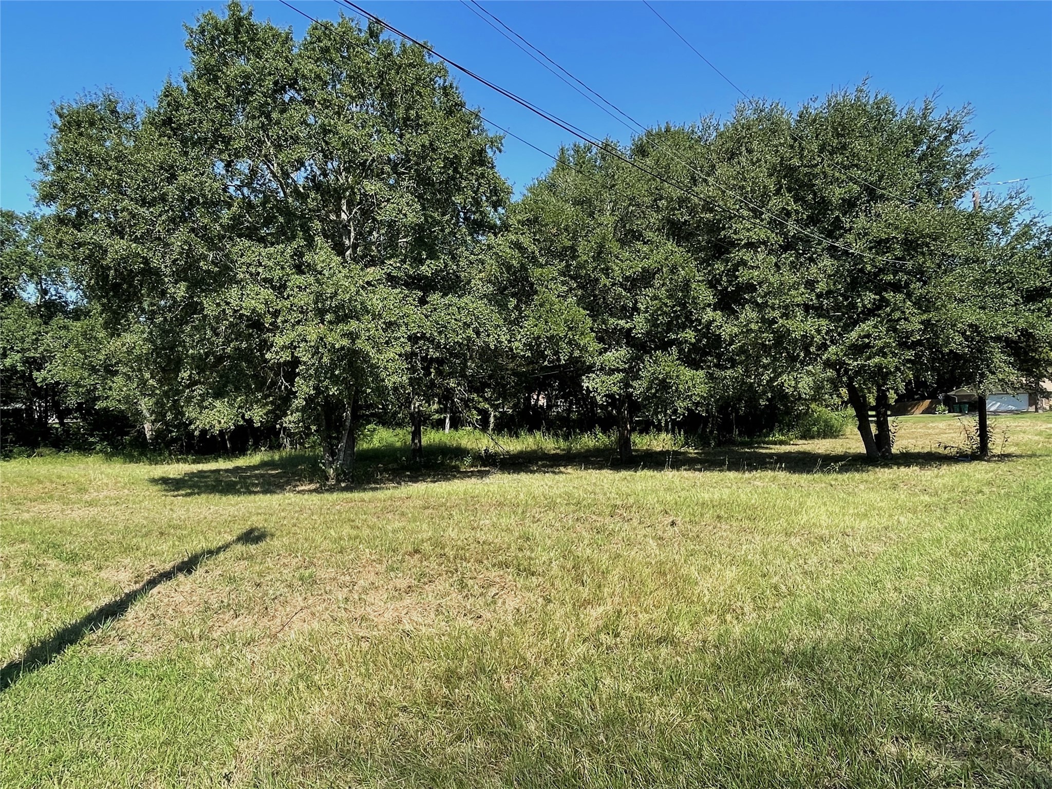 Lot 119 & Lot 120 Robindale Lane Fairfield TX 75840
