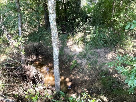 Lot 119 & Lot 120 Robindale Lane Fairfield TX 75840
