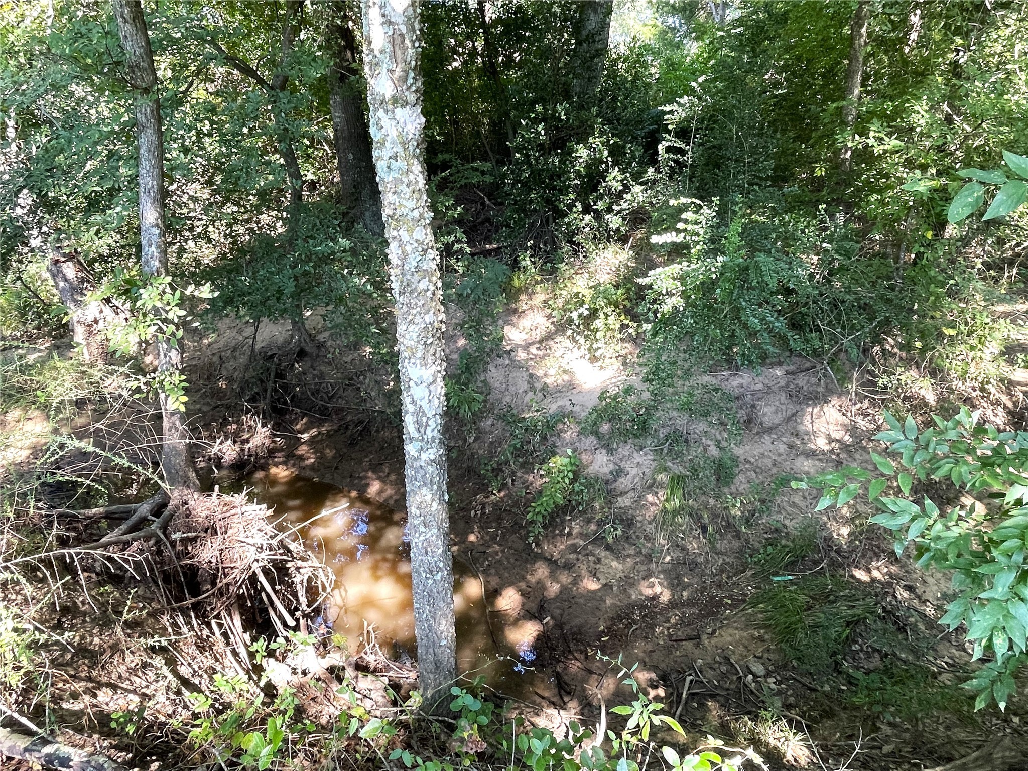 Lot 119 & Lot 120 Robindale Lane Fairfield TX 75840
