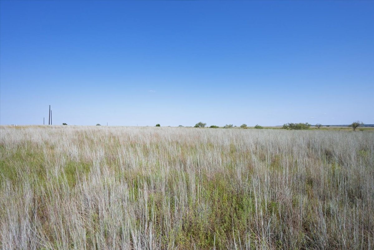 350 Pr 6191 Hamilton TX 76531