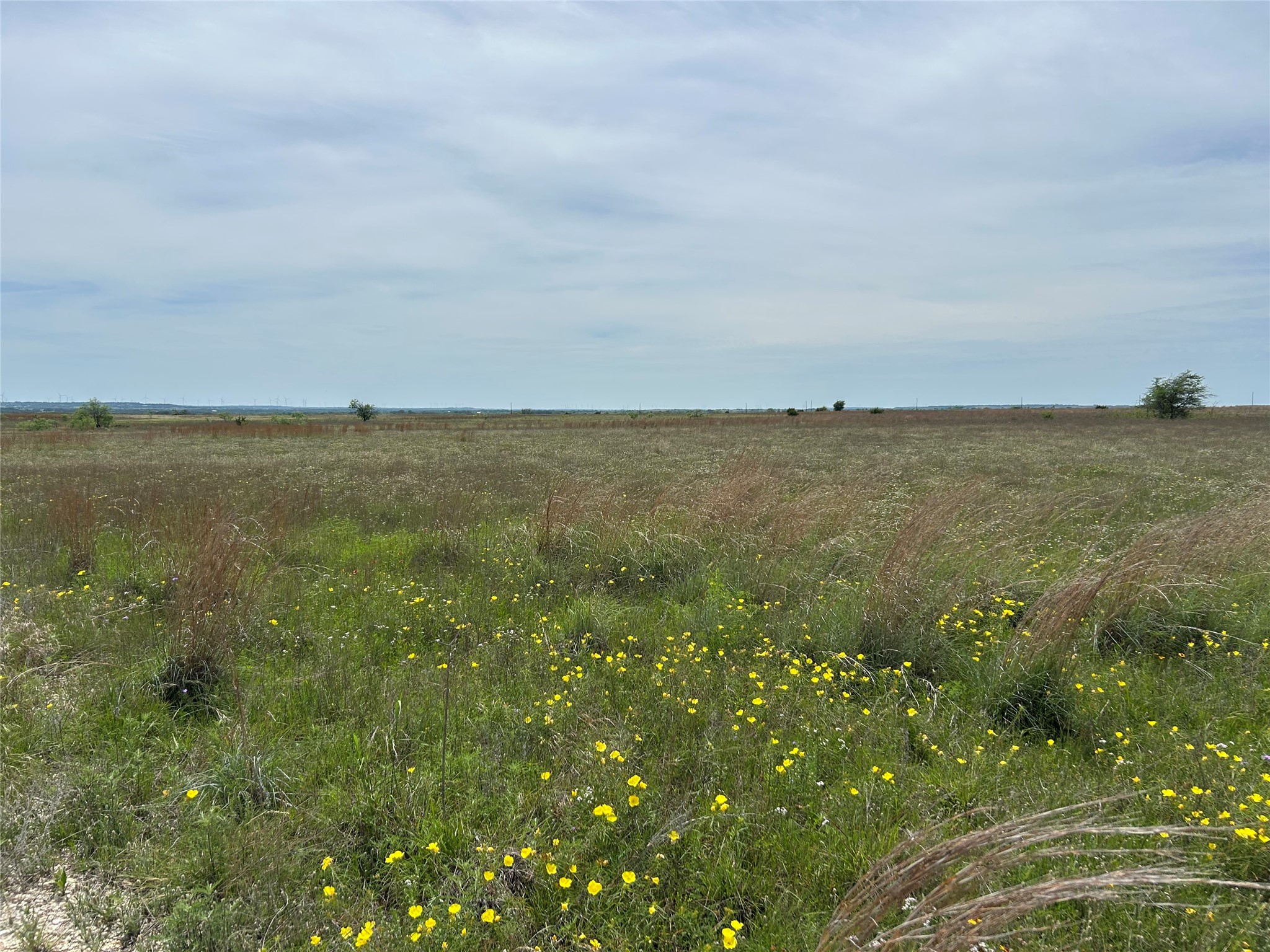 Tba County Road 619 Hamilton TX 76531