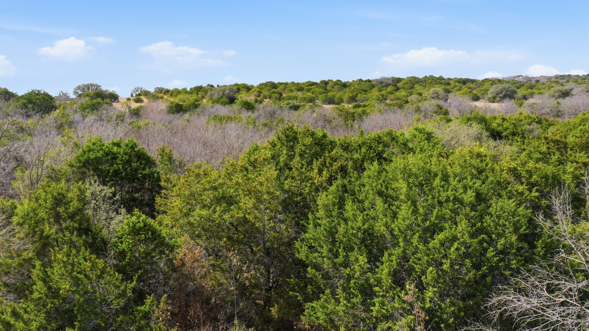 Tbd Bluegill Ridge Bluff Dale TX 76433