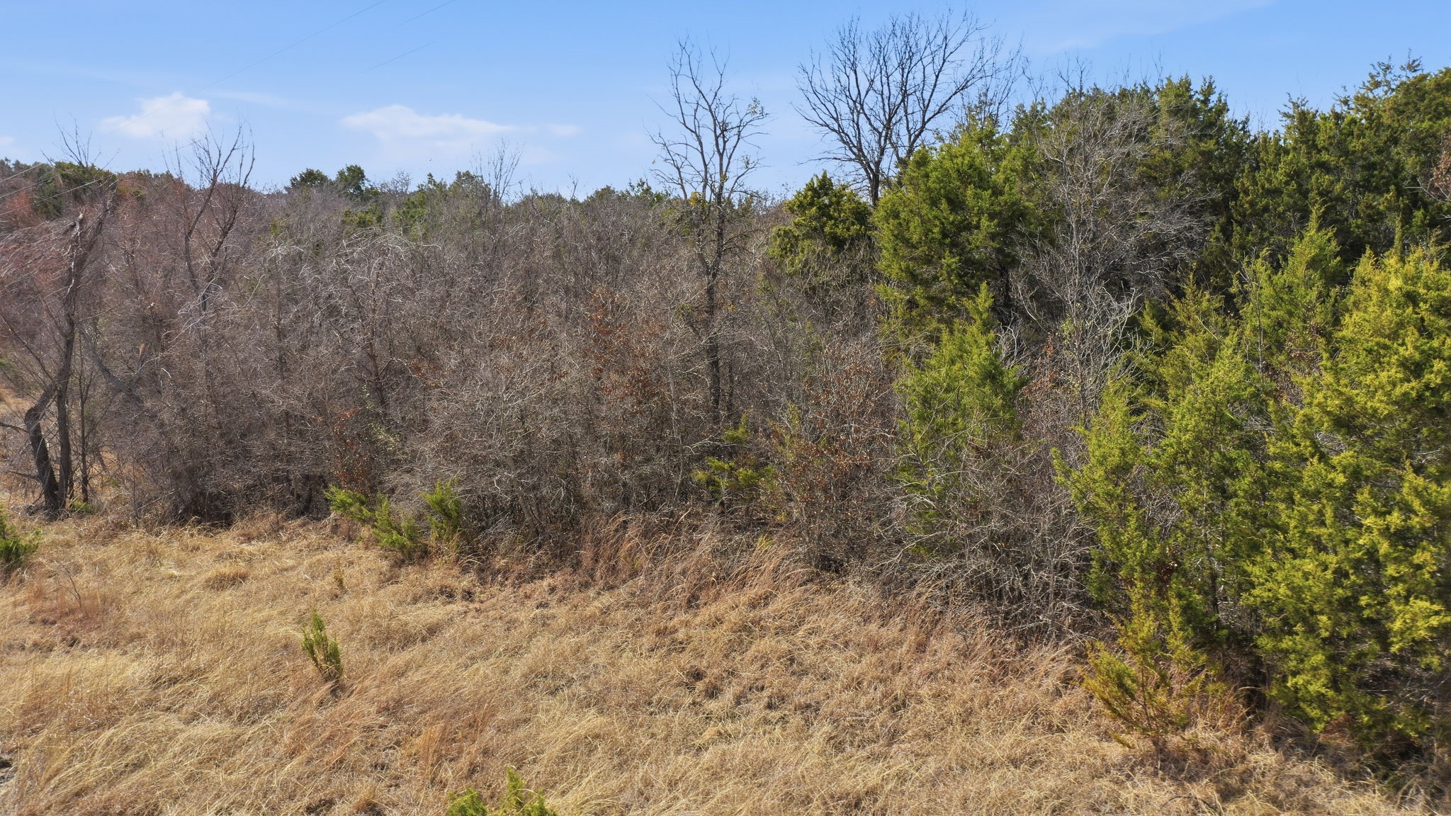 Tbd Bluegill Ridge Bluff Dale TX 76433