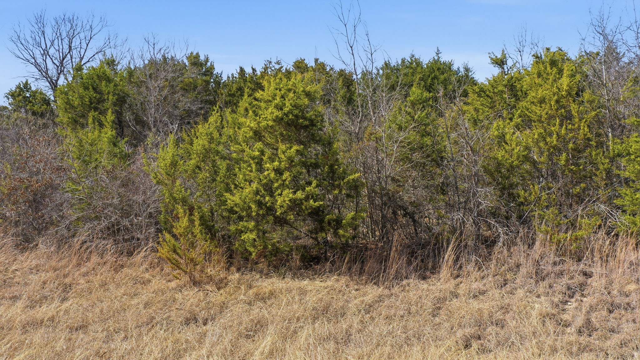 Tbd Bluegill Ridge Bluff Dale TX 76433