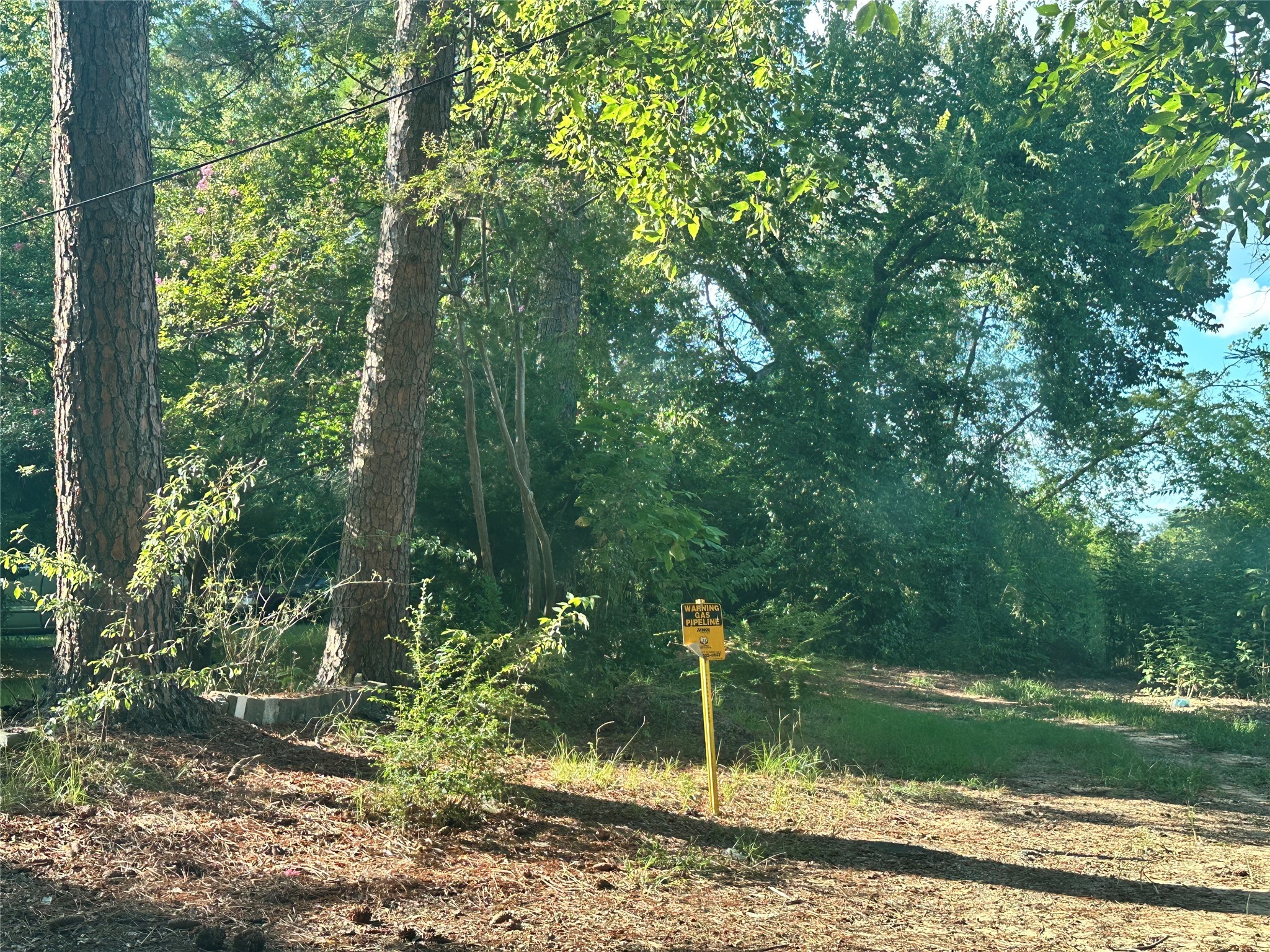 Lot 45 Harris Sulphur Springs TX 75482