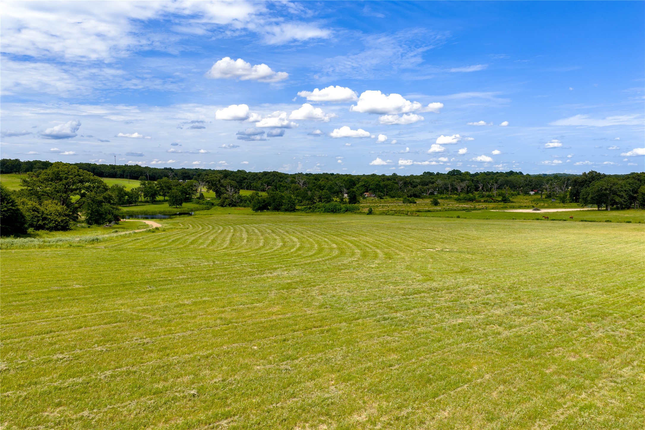 Tbd Cr-1200 Athens TX 75751