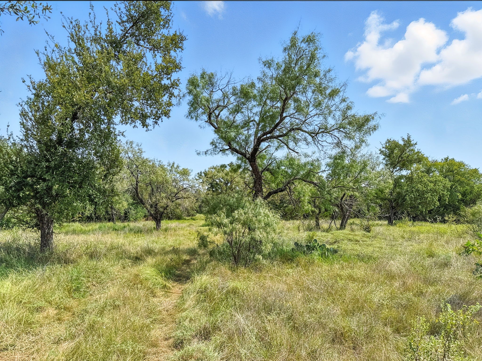 Lot 2 Ph 6 Cr 421 Evant TX 76525