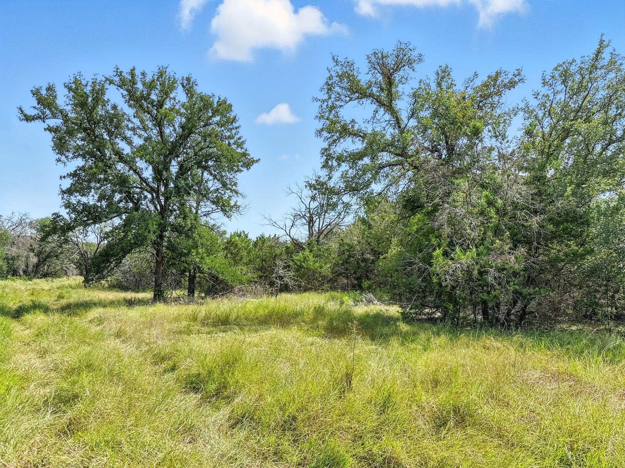 Lot 2 Ph 6 Cr 421 Evant TX 76525