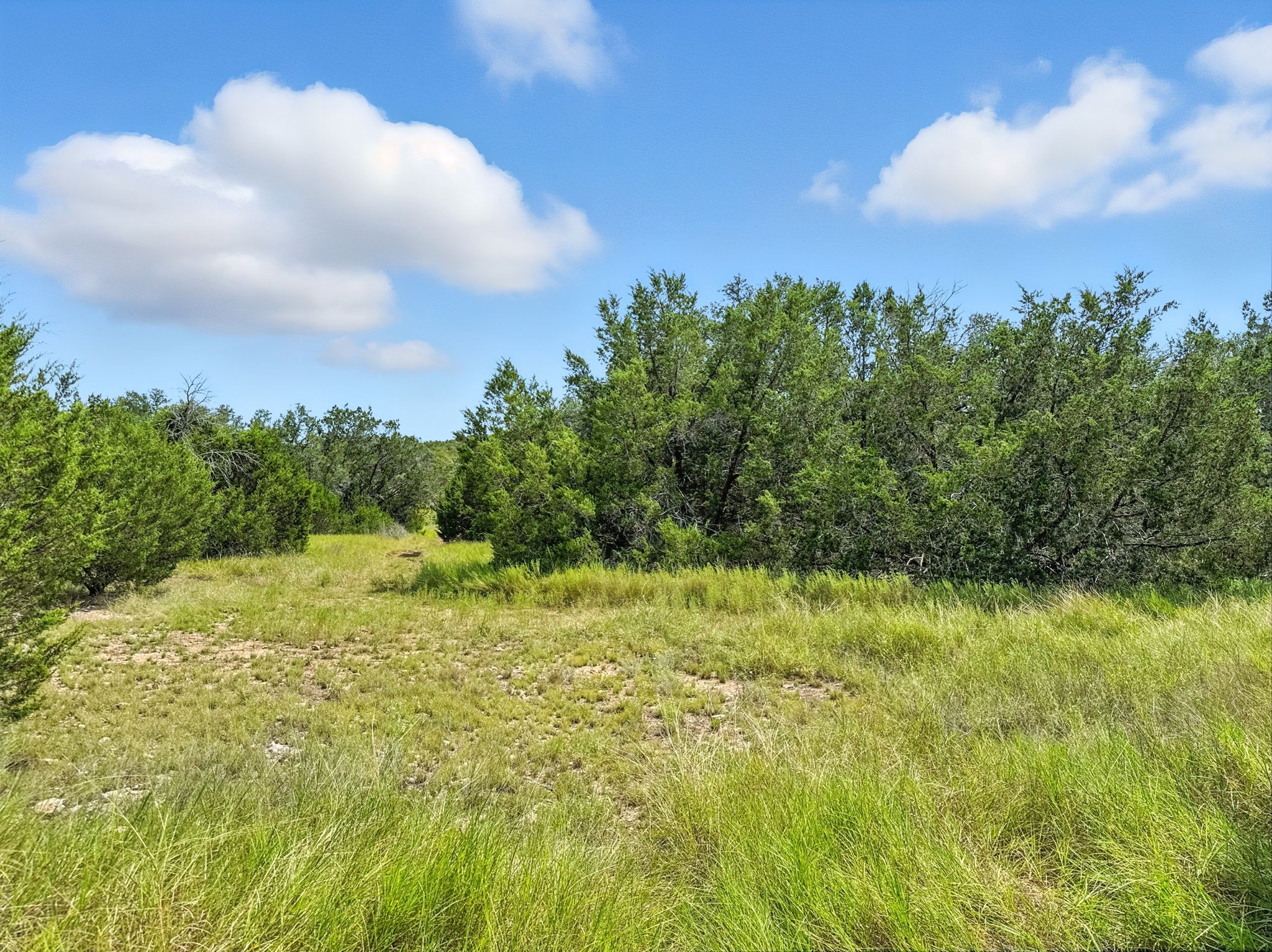 Lot 2 Ph 6 Cr 421 Evant TX 76525