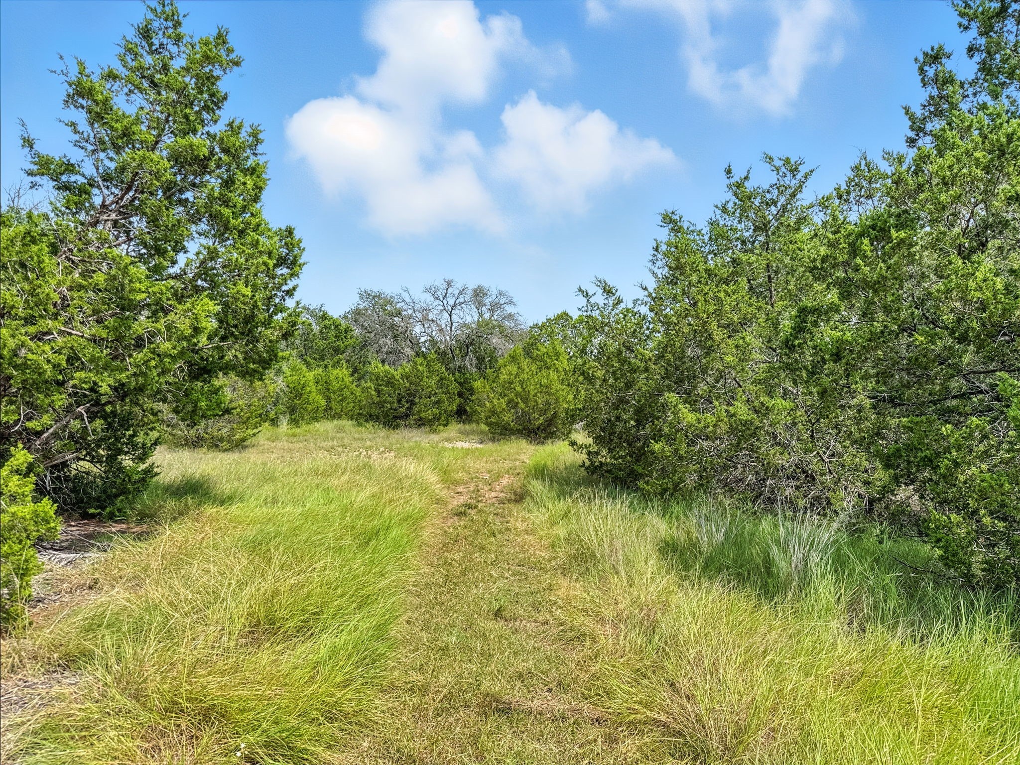 Lot 2 Ph 6 Cr 421 Evant TX 76525