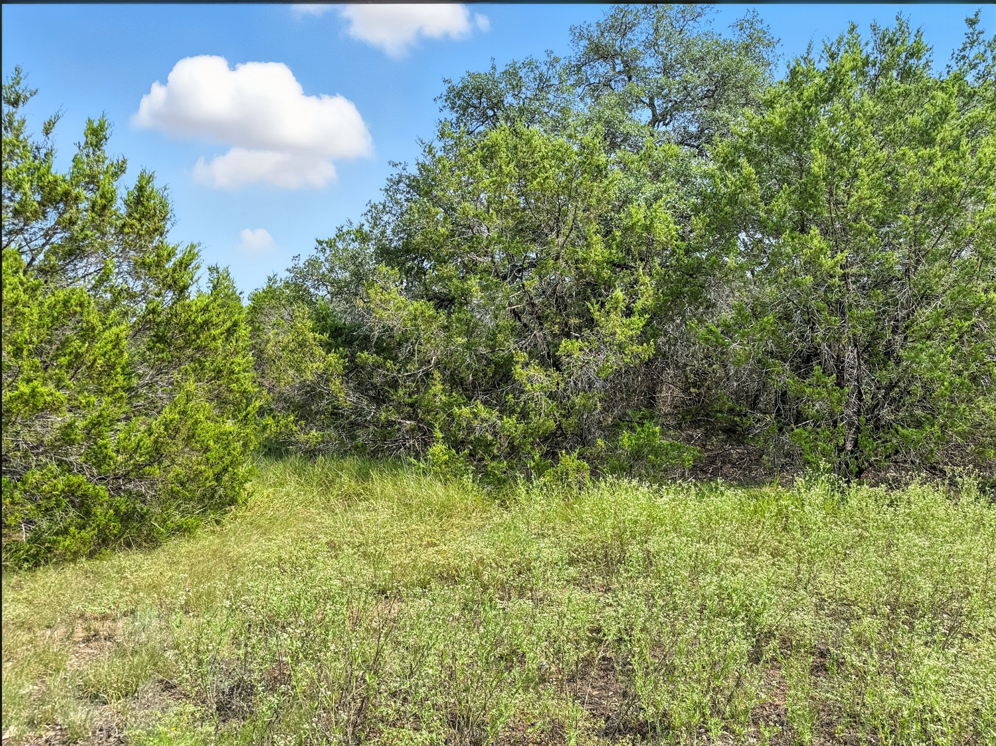 Lot 2 Ph 6 Cr 421 Evant TX 76525