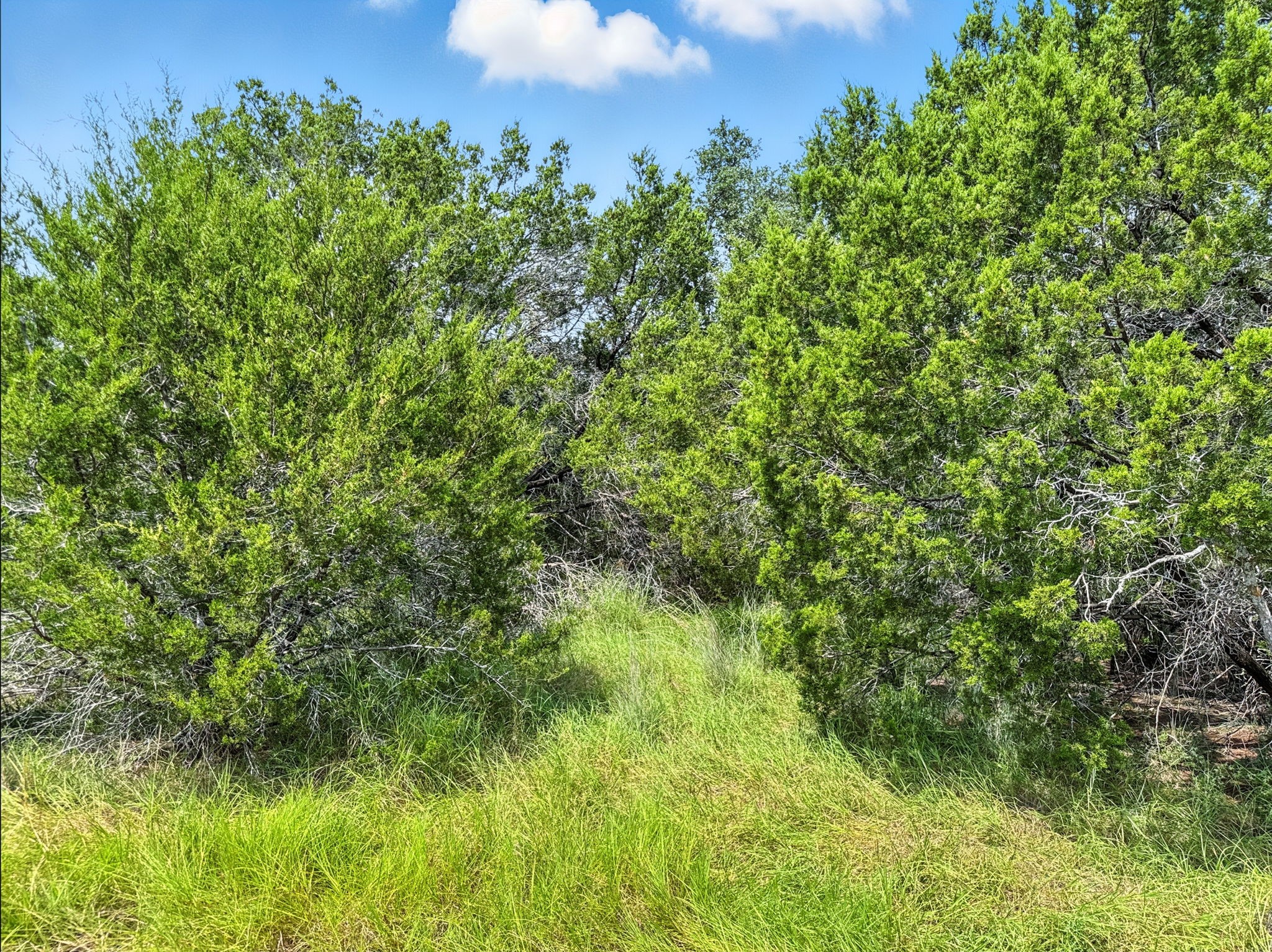 Lot 2 Ph 6 Cr 421 Evant TX 76525