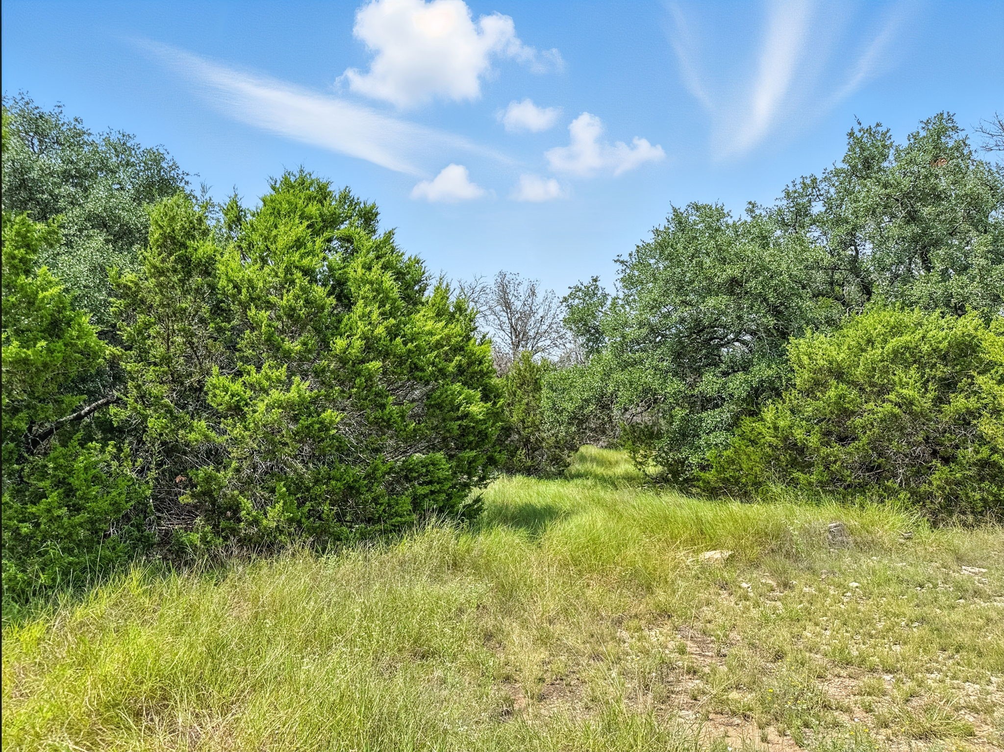 Lot 2 Ph 6 Cr 421 Evant TX 76525