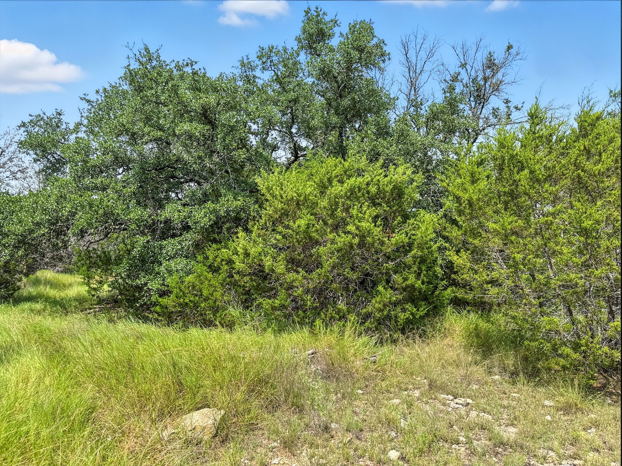 Lot 2 Ph 6 Cr 421 Evant TX 76525