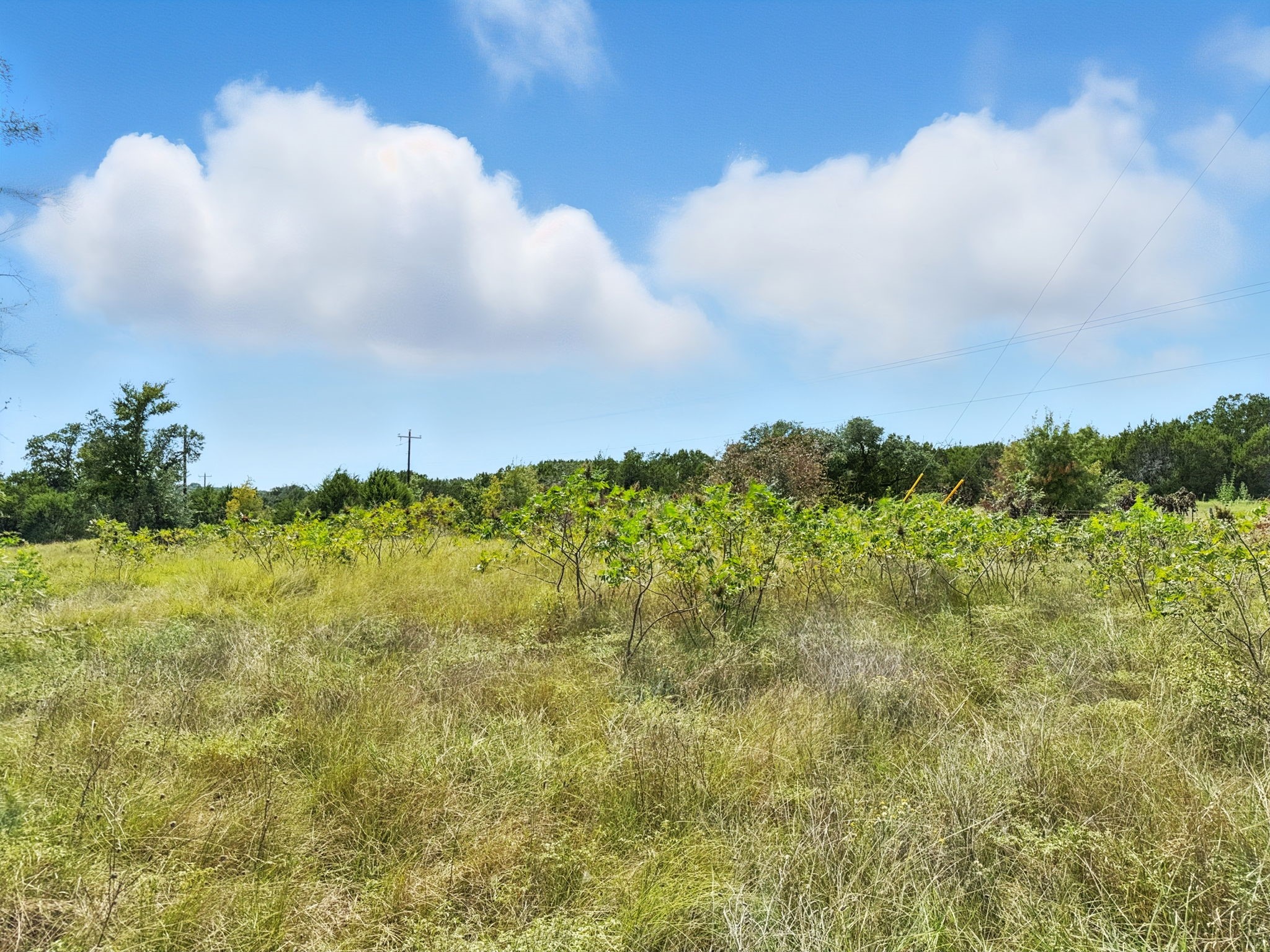 Lot 2 Ph 6 Cr 421 Evant TX 76525