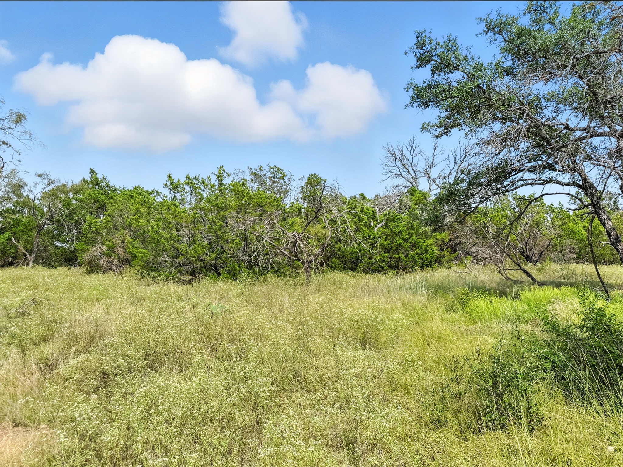 Lot 2 Ph 6 Cr 421 Evant TX 76525