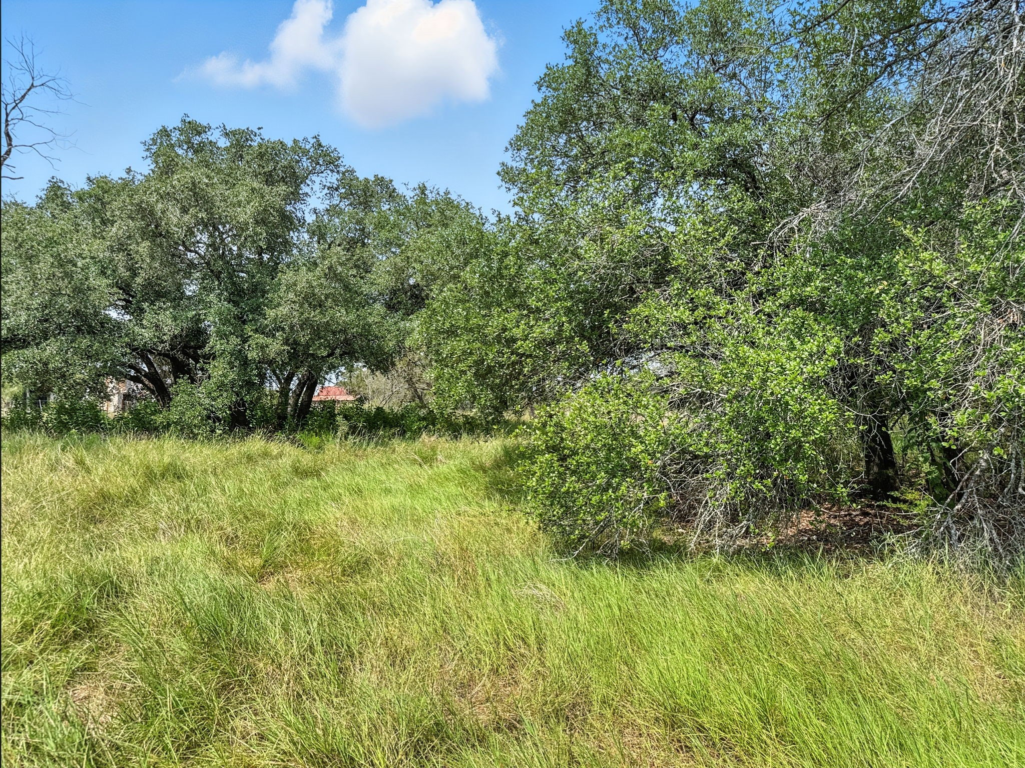 Lot 2 Ph 6 Cr 421 Evant TX 76525