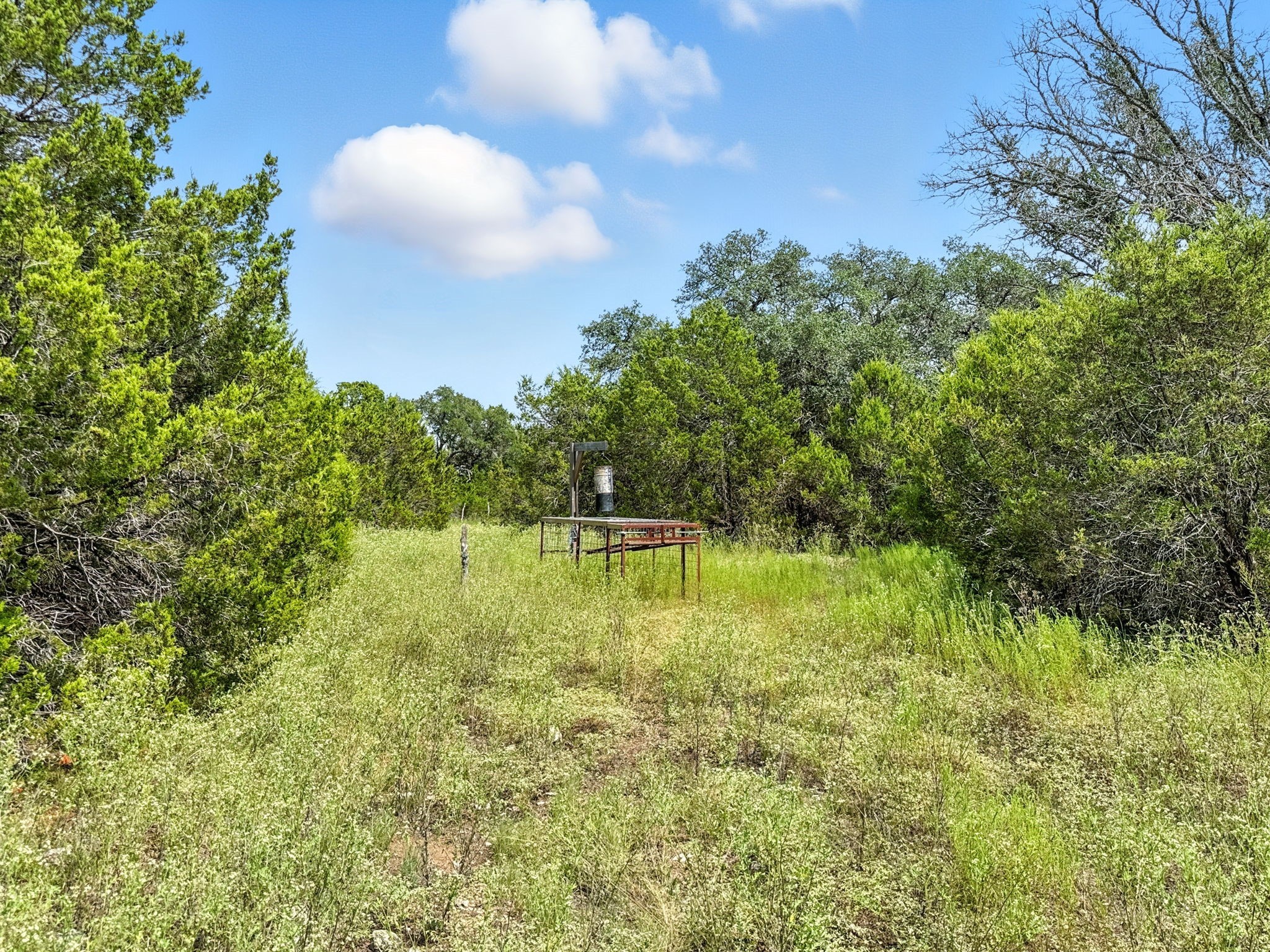 Lot 2 Ph 6 Cr 421 Evant TX 76525