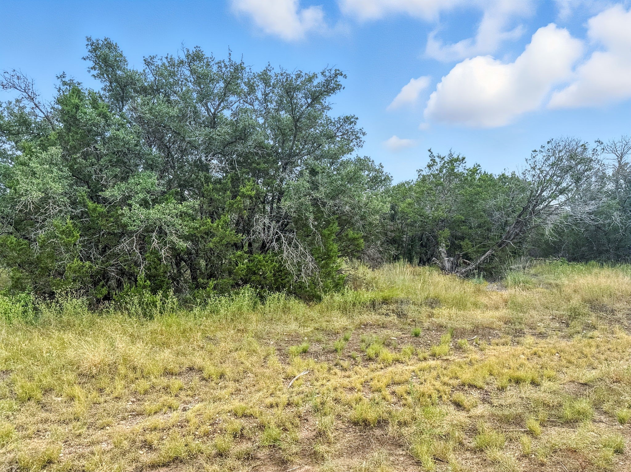 Lot 2 Ph 6 Cr 421 Evant TX 76525