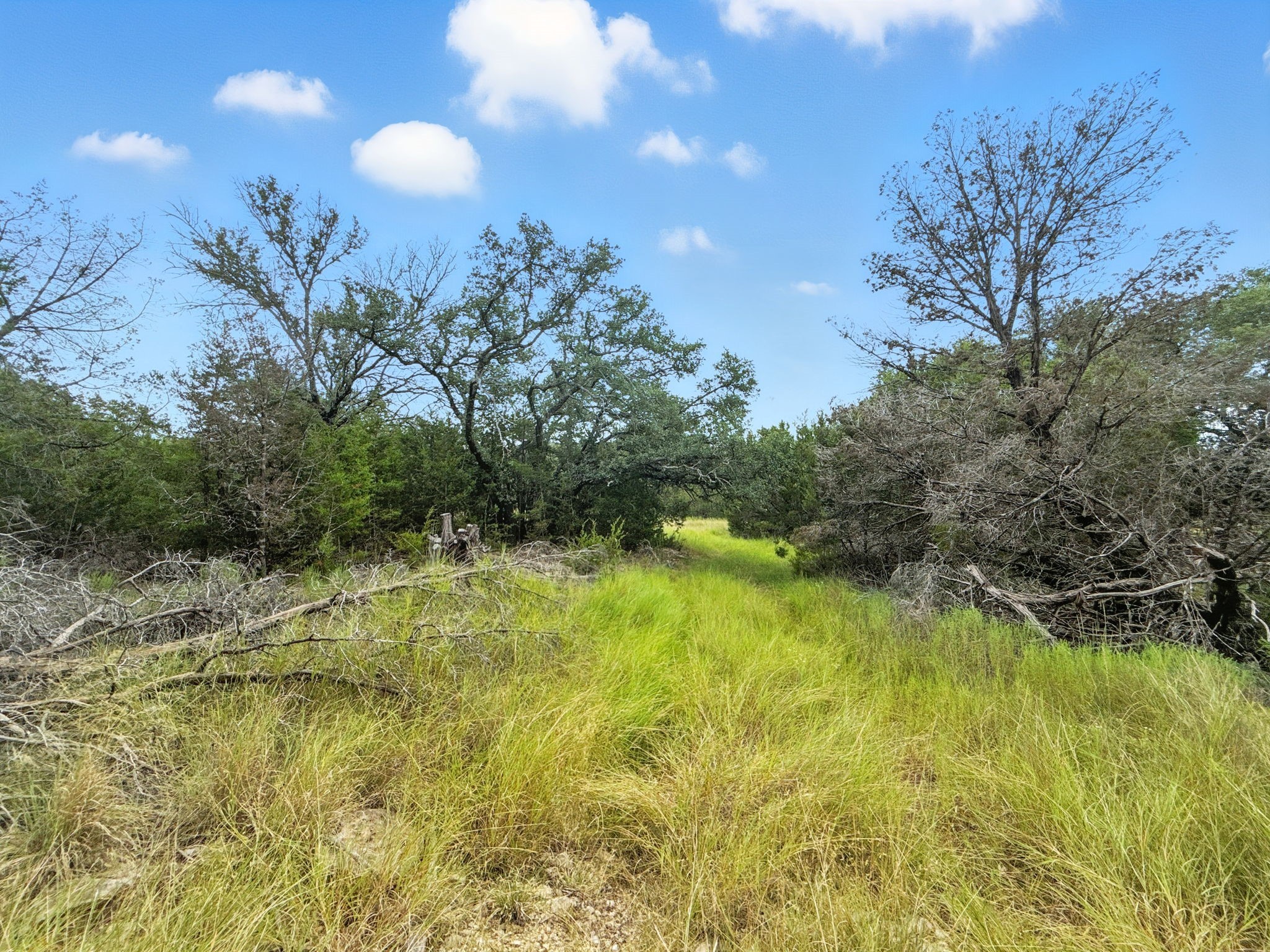 Lot 2 Ph 6 Cr 421 Evant TX 76525