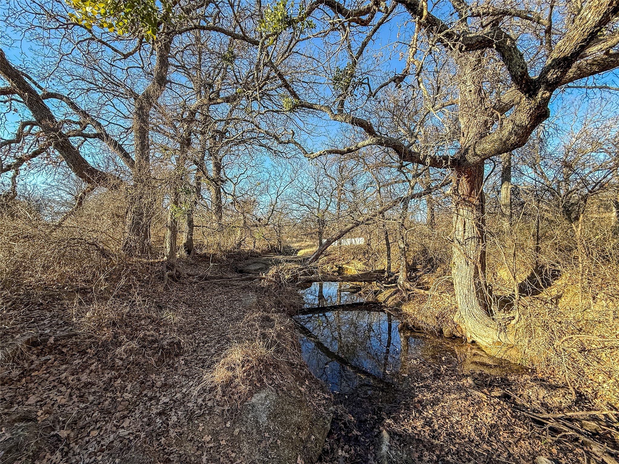 Tbd Coca Cola Ranch Road Jacksboro TX 76458