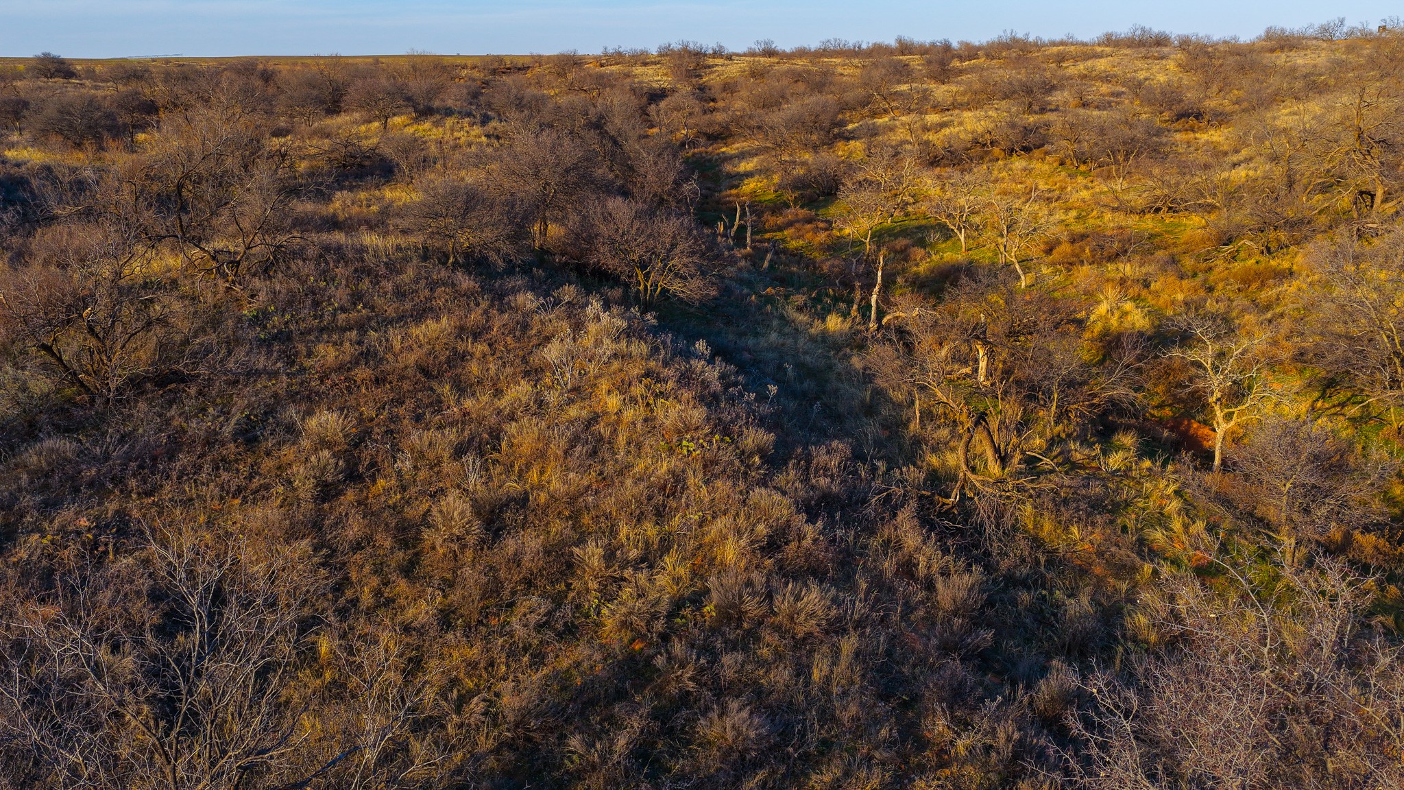16820 County Road L Childress TX 79201
