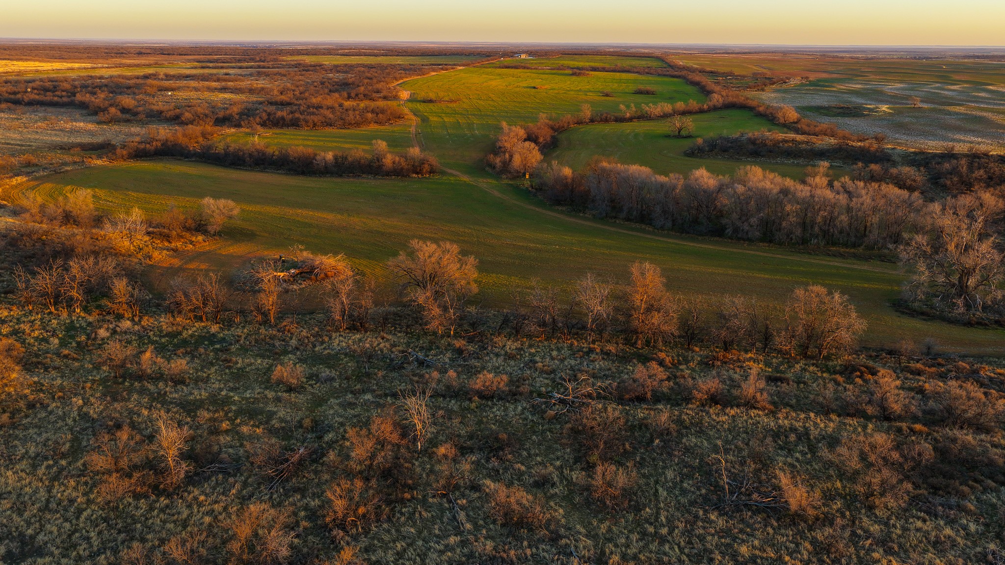 16820 County Road L Childress TX 79201