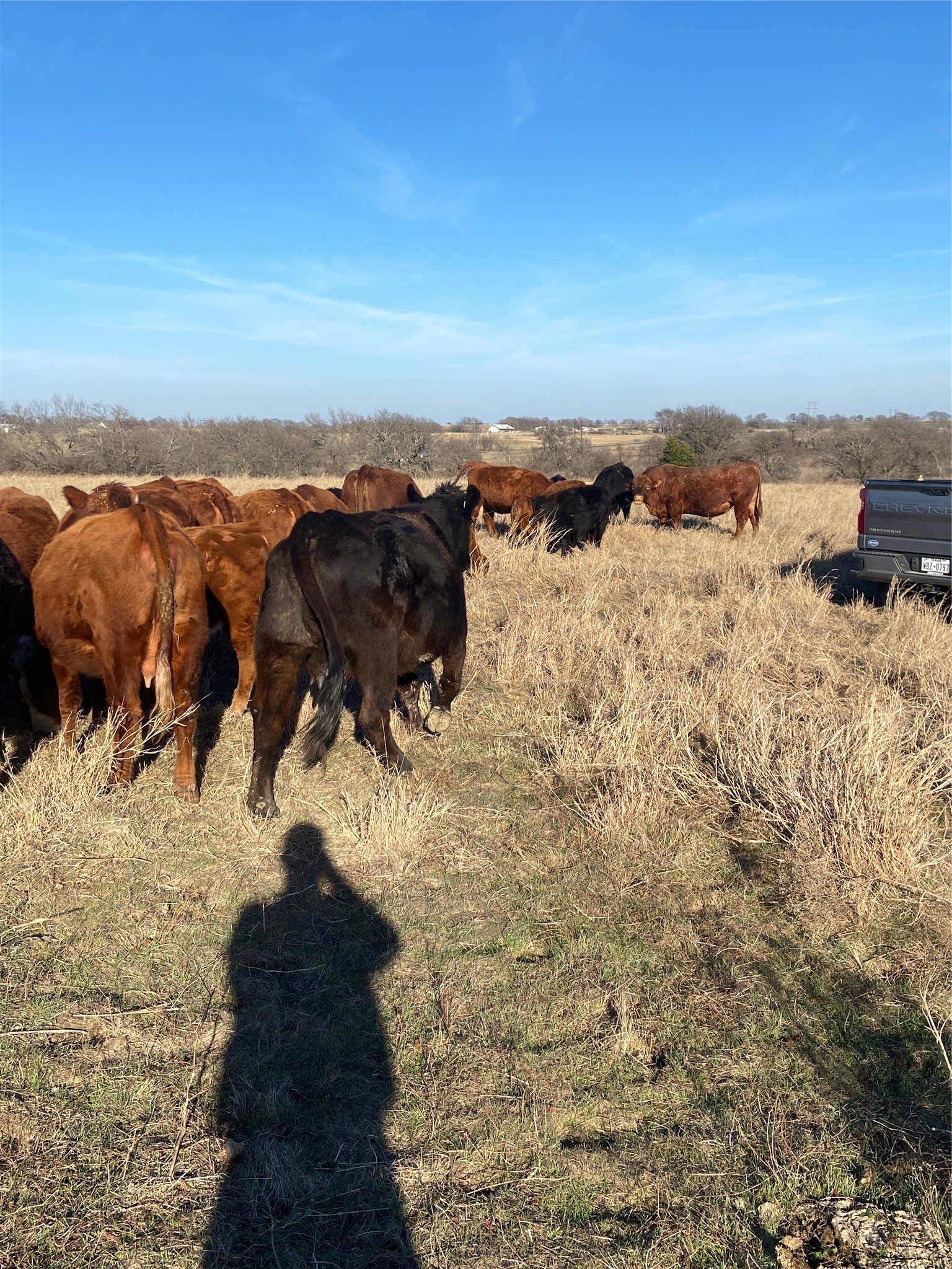 10.5 Acres Ohanlon Road Whitesboro TX 76273