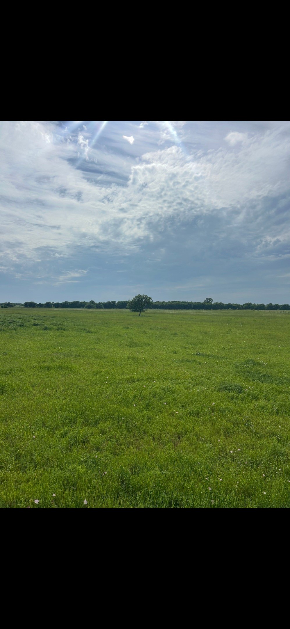 10.5 Acres Ohanlon Road Whitesboro TX 76273