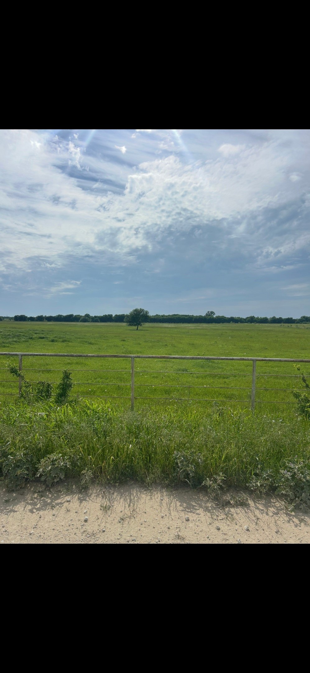 10.5 Acres Ohanlon Road Whitesboro TX 76273