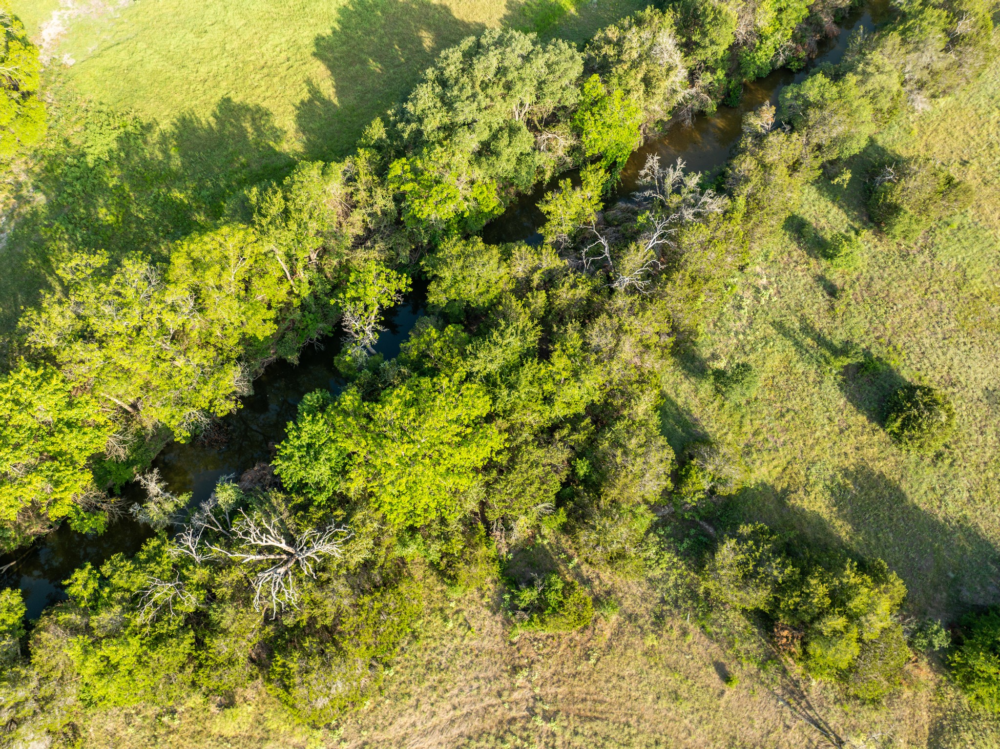 Tbd County Road 186 Jonesboro TX 76538