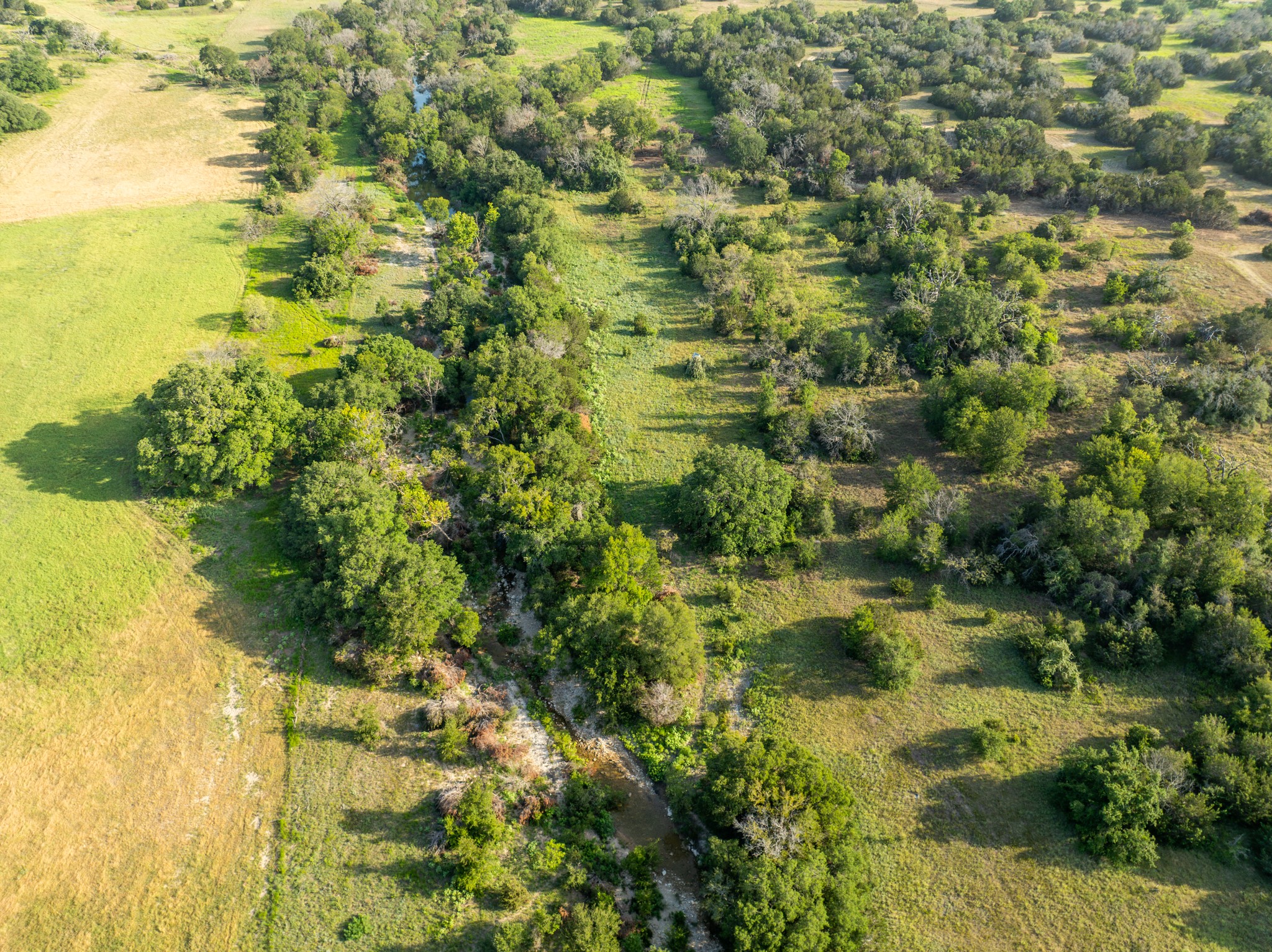 Tbd County Road 186 Jonesboro TX 76538