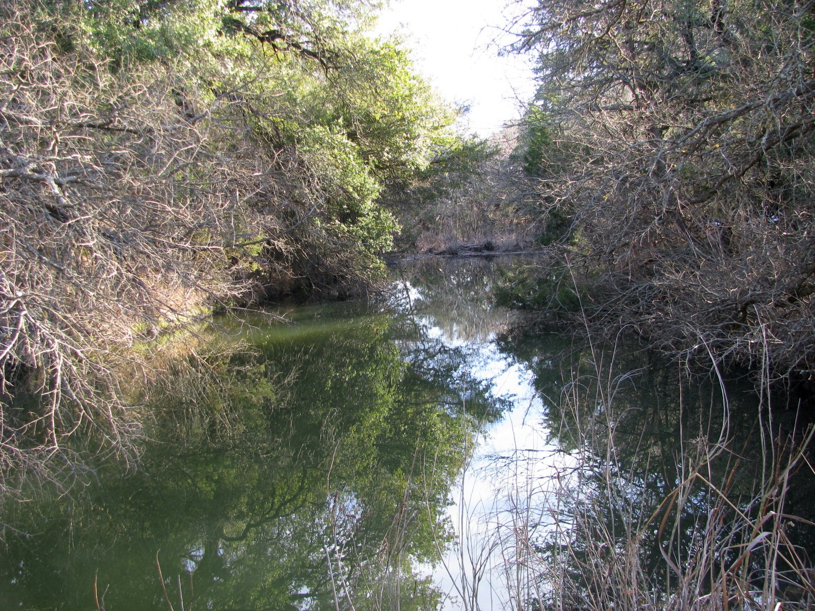 Tbd County Road 186 Jonesboro TX 76538