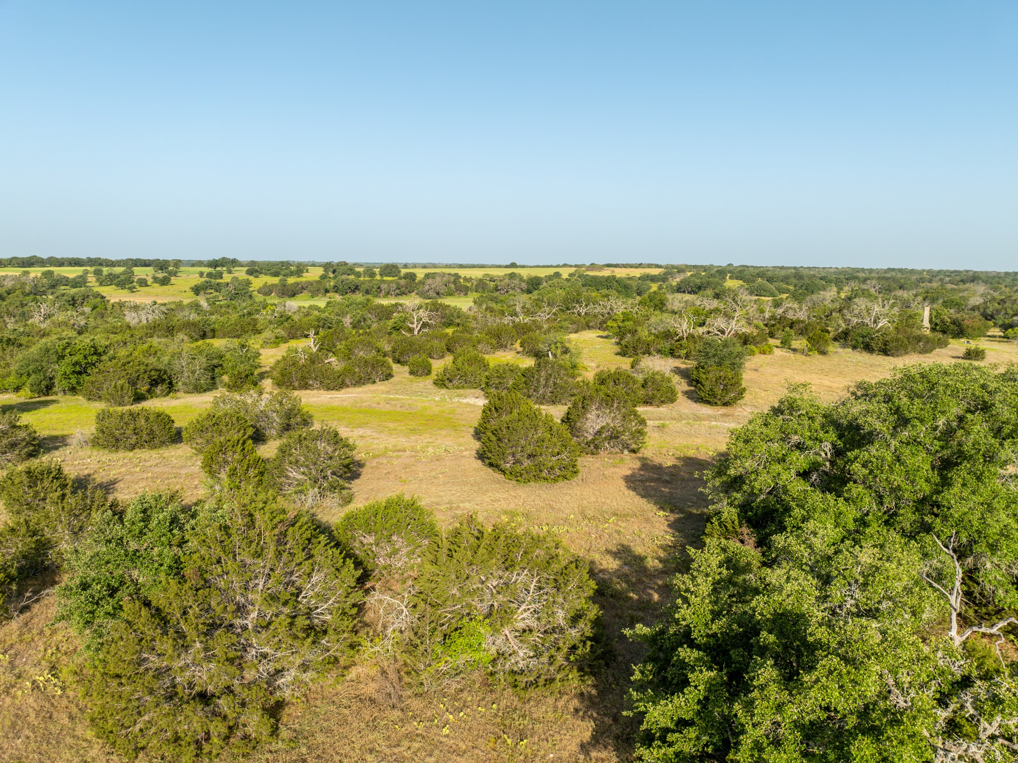 Tbd County Road 186 Jonesboro TX 76538