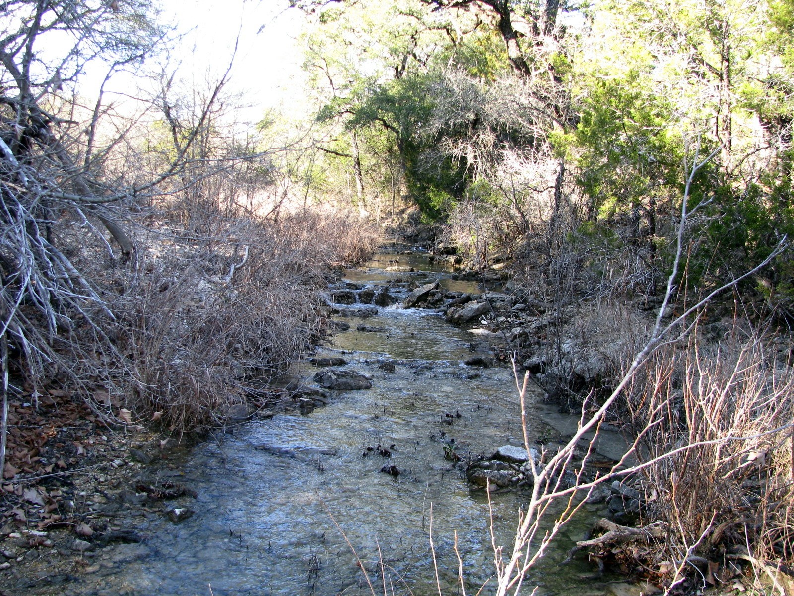 Tbd County Road 186 Jonesboro TX 76538