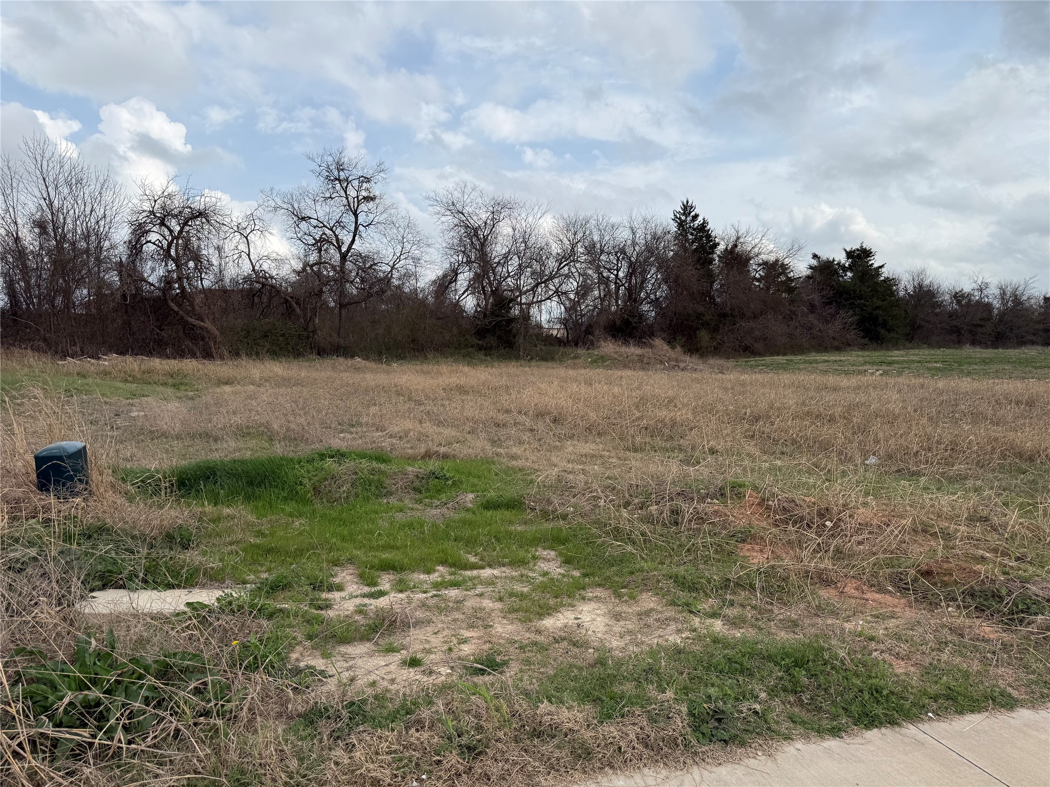114 Indian Trenton TX 75490