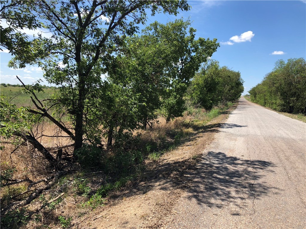 13 Bulldog Drive Venus TX 76084