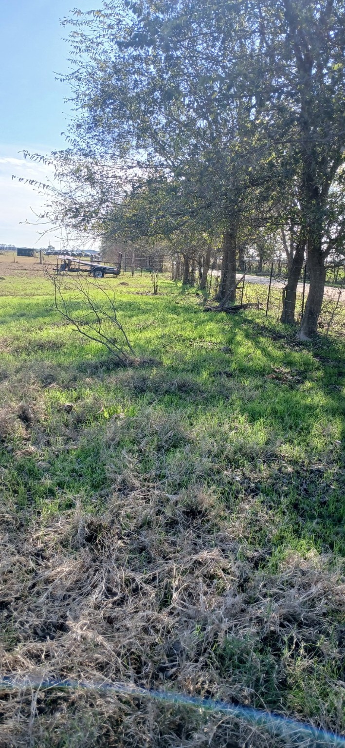 Tbd County Road 129 Marlin TX 76661