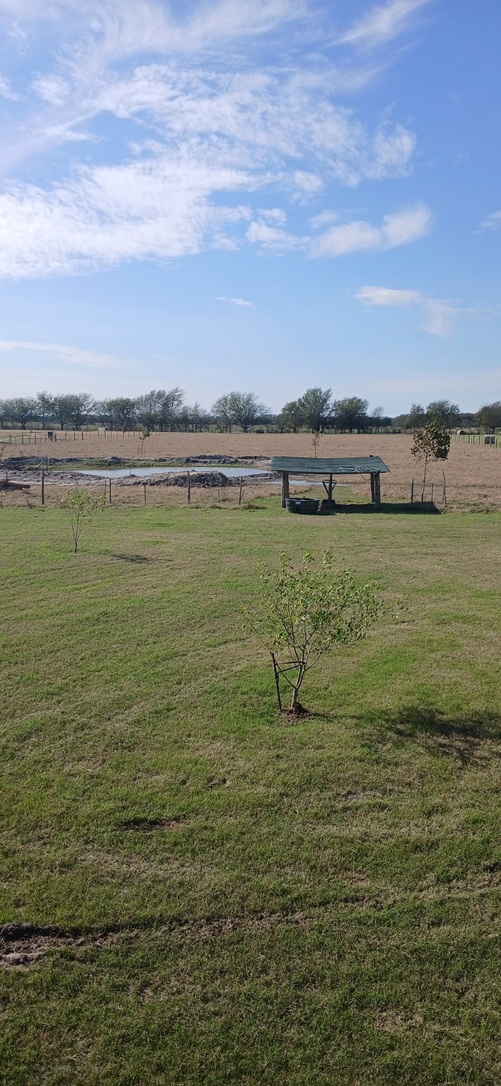 Tbd County Road 129 Marlin TX 76661