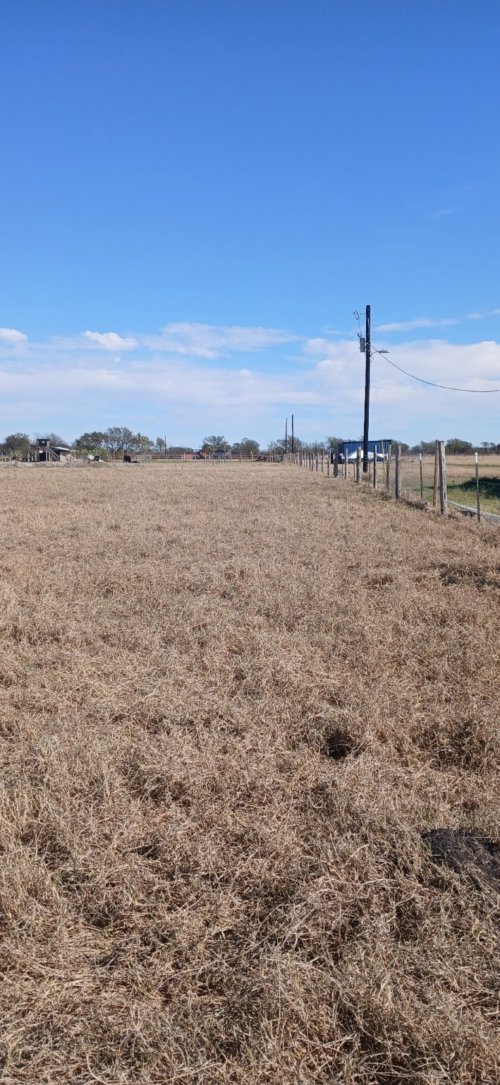 Tbd County Road 129 Marlin TX 76661
