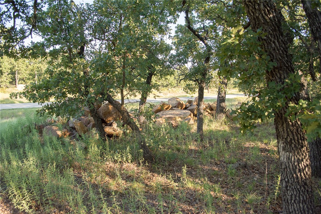 1020 Post Oak Road Gordon TX 76453