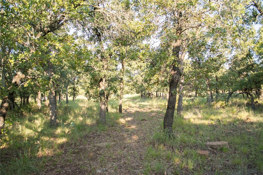 1020 Post Oak Road Gordon TX 76453