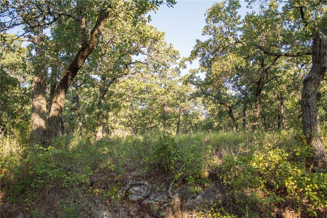 1020 Post Oak Road Gordon TX 76453