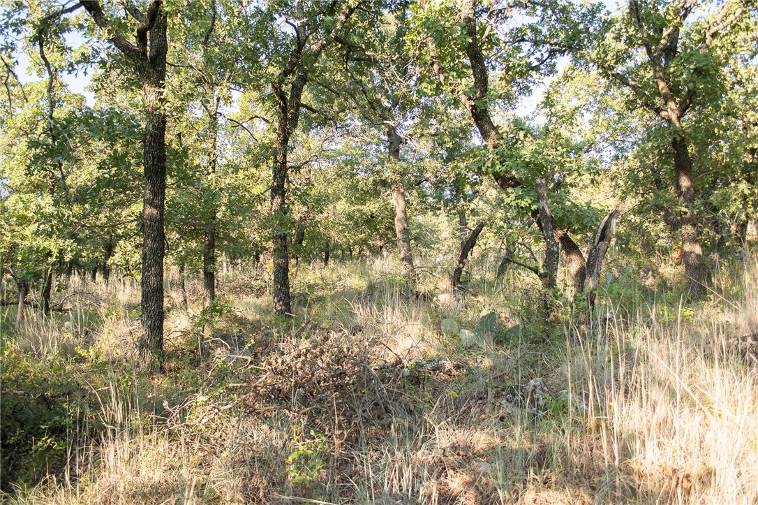 1020 Post Oak Road Gordon TX 76453