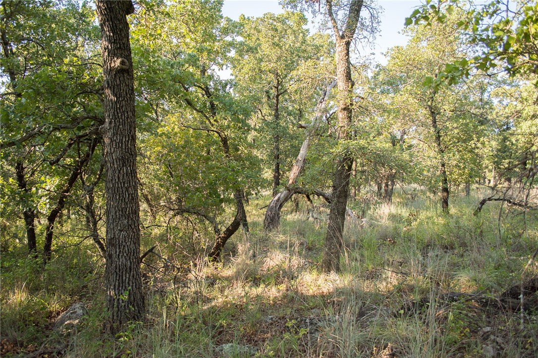 1020 Post Oak Road Gordon TX 76453