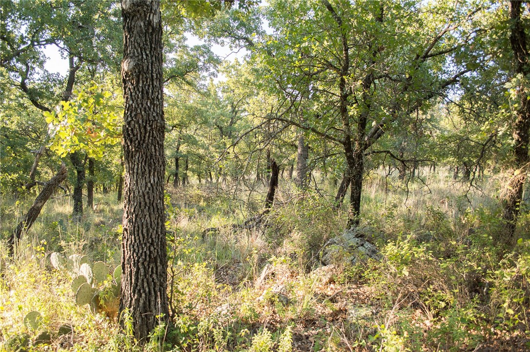 1020 Post Oak Road Gordon TX 76453