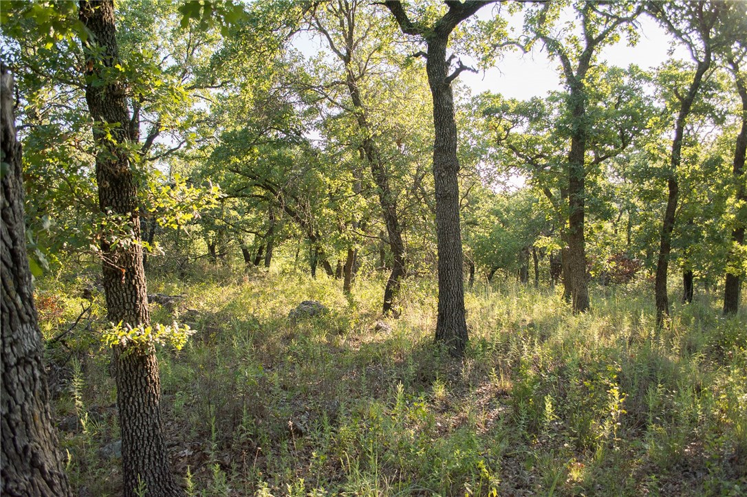 1020 Post Oak Road Gordon TX 76453
