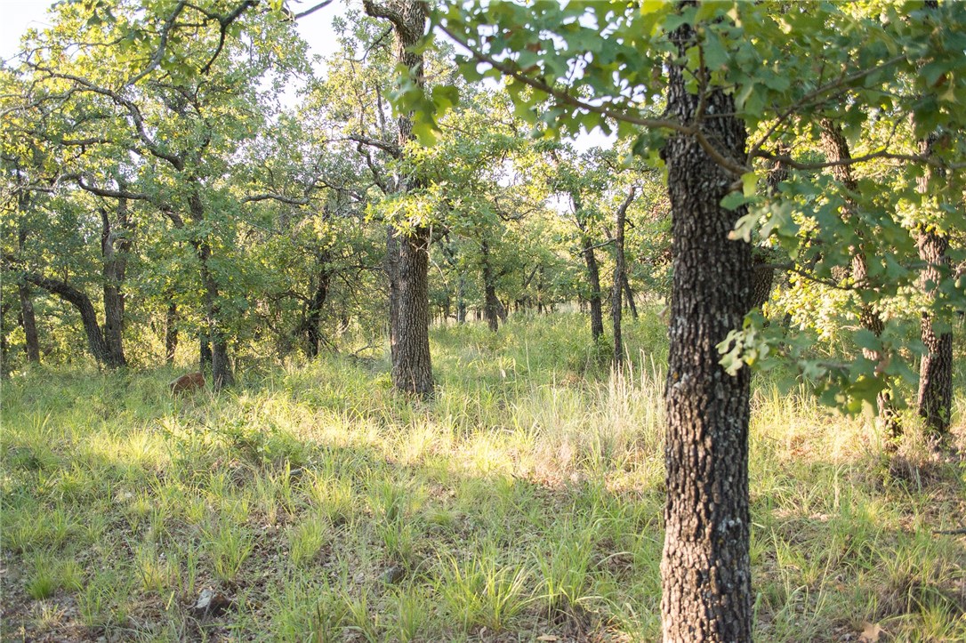 1020 Post Oak Road Gordon TX 76453