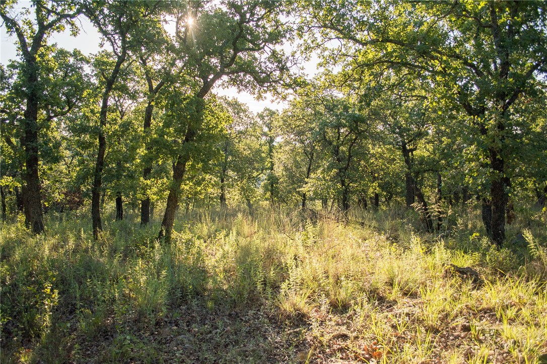 1020 Post Oak Road Gordon TX 76453