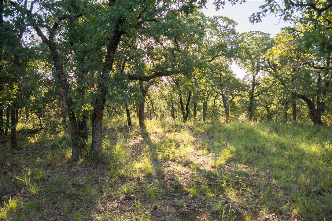1020 Post Oak Road Gordon TX 76453